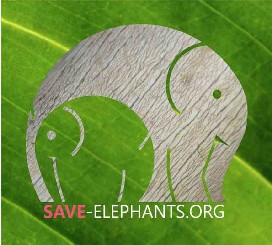 save elephants