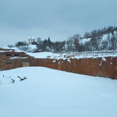 Stavba systému elektrického ohradníku firmou Agrotrans v novém pavilonu Goril - ZOO Praha