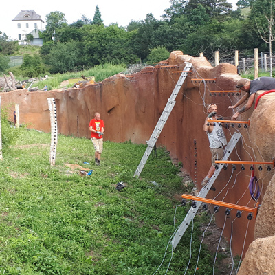 Stavba systému elektrického ohradníku firmou Agrotrans v novém pavilonu Goril - ZOO Praha