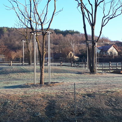 Stavba systému elektrického ohradníku firmou Agrotrans v novém pavilonu Goril - ZOO Praha