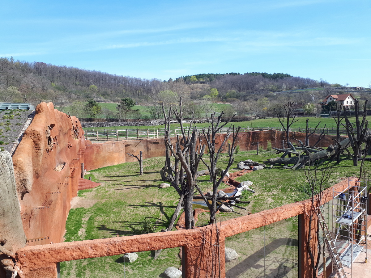 ZOO Praha – nový pavilón goril